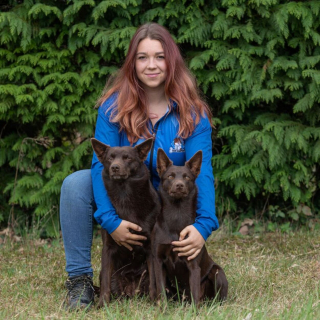 Illustration de l'article : Cani-gourmand développe des aliments 100 % naturels pour chien, ainsi qu’une gamme d’accessoires qualitatifs